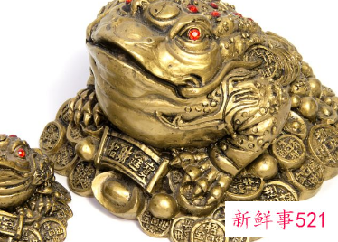 居家金蟾摆放位置