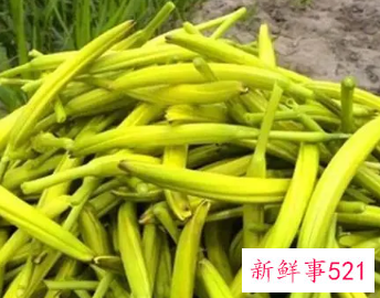 小孩能吃黄花菜的功效与作用
