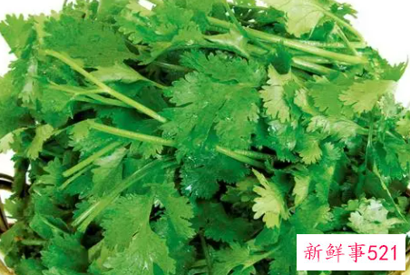 吃香菜能为肾脏排毒