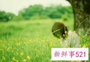 如何学会调整自己的情绪