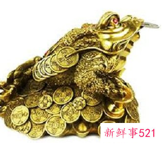 蟾蜍摆件怎么摆放位置