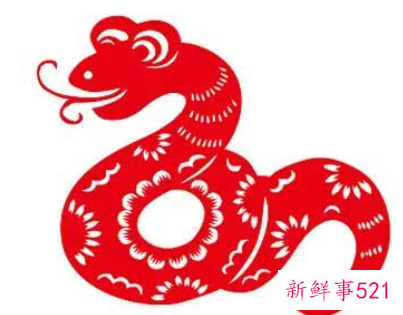 梦见蛇在衣服里是什么意思