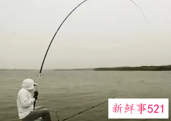 初学钓鱼如何选择鱼竿