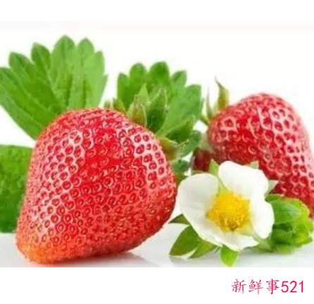 草莓21种美容养颜抗衰老功效