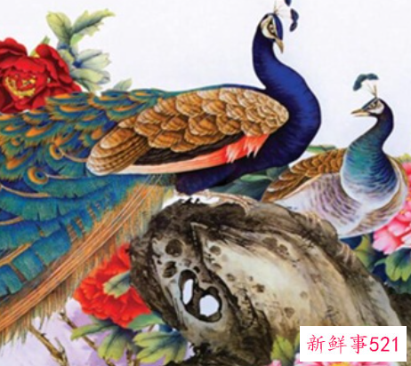 孔雀的象征意义有哪些