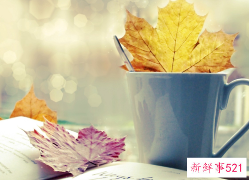 哪些星座会慢慢的看淡爱情