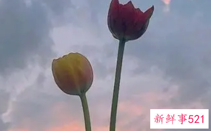 时尚潮流的说说有哪些