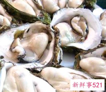 女人吃生蚝的好处