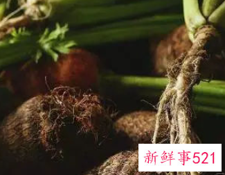 青菜储存保鲜方法