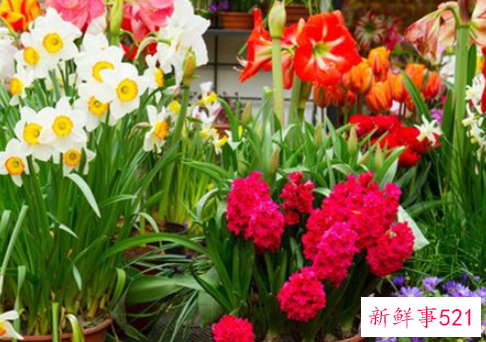 梦见有人送花给自己说明什么