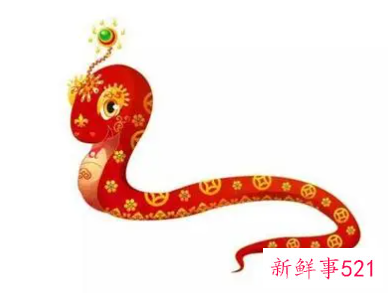 蛇10月出生是什么命