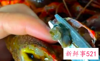 十三香小龙虾做法大全