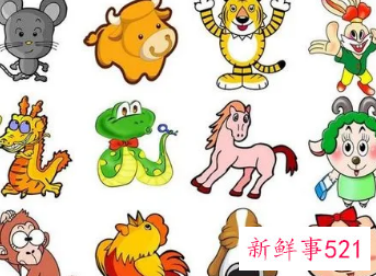 每个属相的招财花管用吗