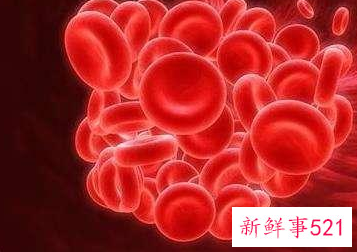 吃什么食物补气养血最好