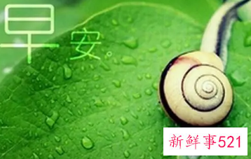 有深度的早安问候语