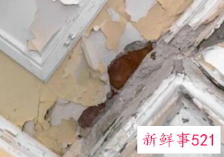 女人梦到屋里墙壁破了