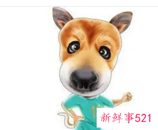 属狗人永久吉利的数字