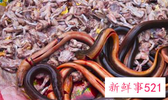 泥鳅属于是凉性还是热性