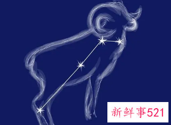 男人最喜欢的三大星座女