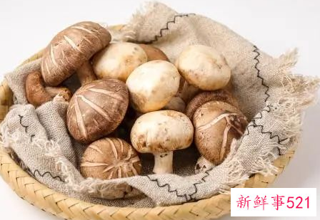 男人养肾最佳的十种食物