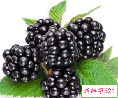 黑莓不能跟什么一起吃