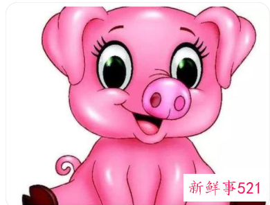 猪男鼠女能过长久吗