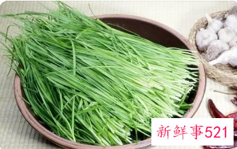 怀孕晚期能吃韭菜吗