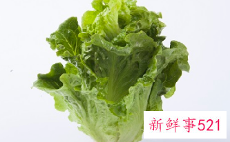 孕妇不能吃的蔬菜有哪些菜品