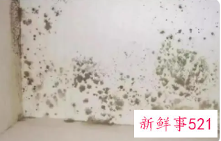 一楼潮湿发霉对人有影响吗