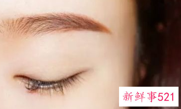 左眼眉毛画法