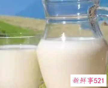 骆驼乳粉的功效和作用