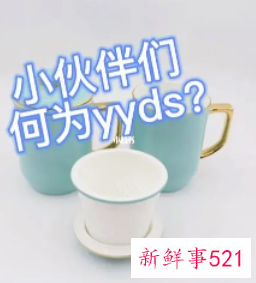 yyds什么意思的缩写