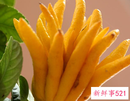 41种不常见的水果(图)