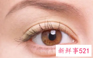 右眼皮跳是预兆吉凶