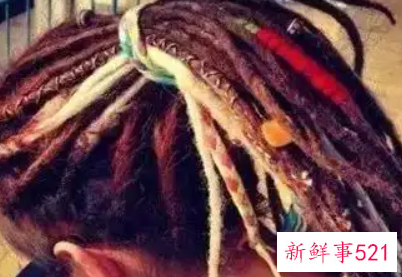 脏辫是怎么养护的