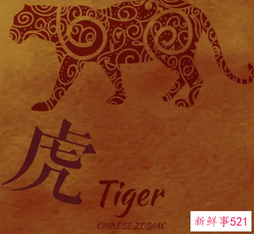 属虎女从事什么行业好