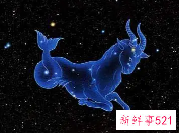 最爱双鱼女的星座