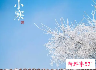 小寒的知识导图