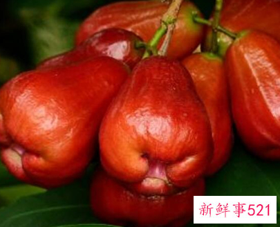 41种不常见的水果(图)