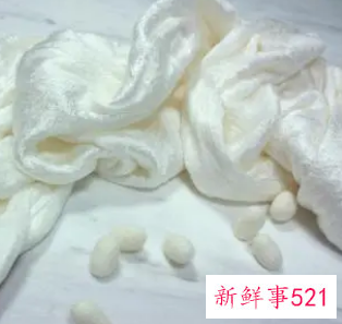 蚕丝棉是什么意思