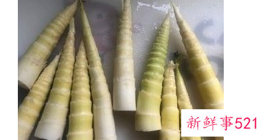 春笋怎么做才好吃简单又好吃