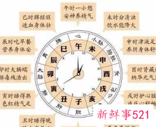 人体十二经络运行的时间规律功能