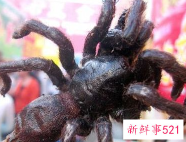 世界上最不营养的东西