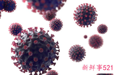 肥胖的人更容易得新冠是真的吗