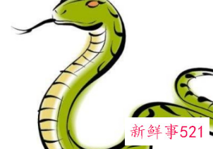 属蛇女喜欢什么类型的男人