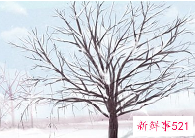 冬至是什么意思呢