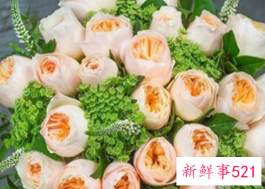 世界上最贵的玫瑰花