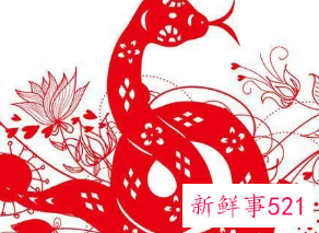 属蛇女喜欢什么类型的男人