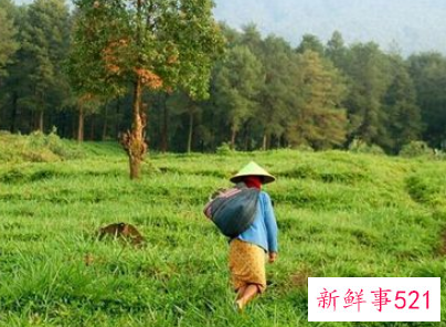 梦见背着重东西是什么意思