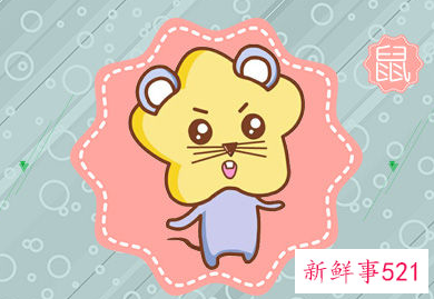 猪男鼠女能过长久吗